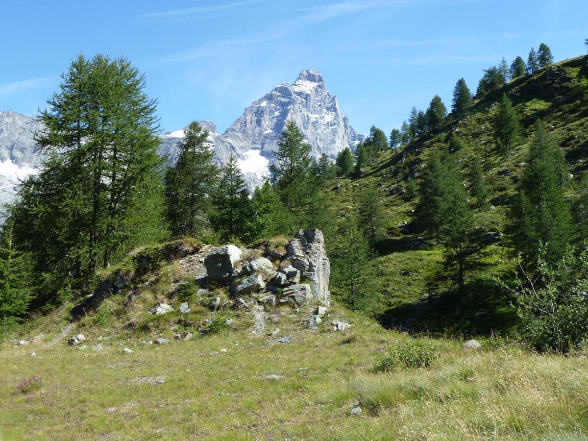Ferienwohnung Le Petit Refuge Cervinia Breuil-Cervinia Exterior foto