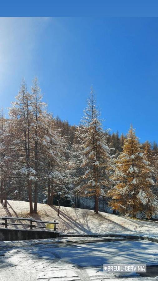 Ferienwohnung Le Petit Refuge Cervinia Breuil-Cervinia Exterior foto